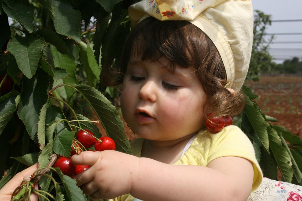 לינה וארוחת בוקר קונברסאנו Bigaro מראה חיצוני תמונה